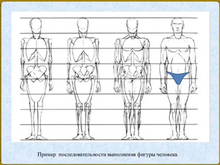 Пример последовательности выполнения фигуры человека.