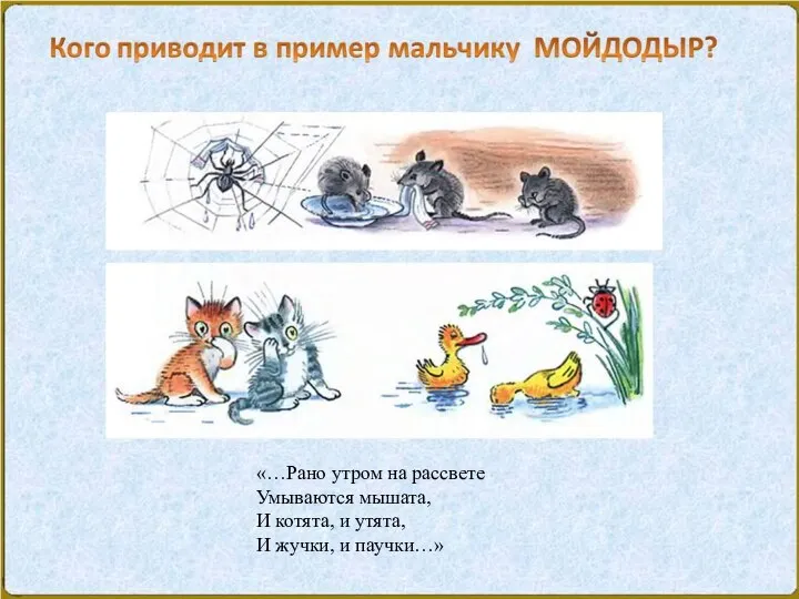 «…Рано утром на рассвете Умываются мышата, И котята, и утята, И жучки, и паучки…»