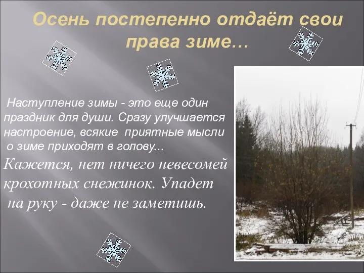 Осень постепенно отдаёт свои права зиме… Наступление зимы - это еще