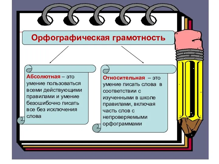 Орфографическая грамотность Относительная – это умение писать слова в соответствии с