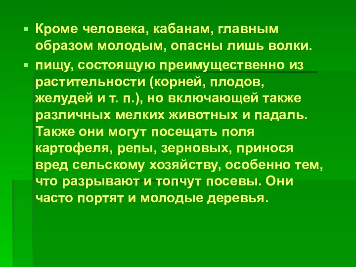 Кроме человека, кабанам, главным образом молодым, опасны лишь волки. пищу, состоящую