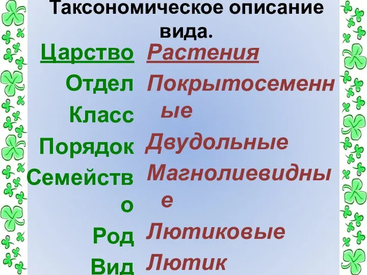 Таксономическое описание вида. Царство Отдел Класс Порядок Семейство Род Вид Растения