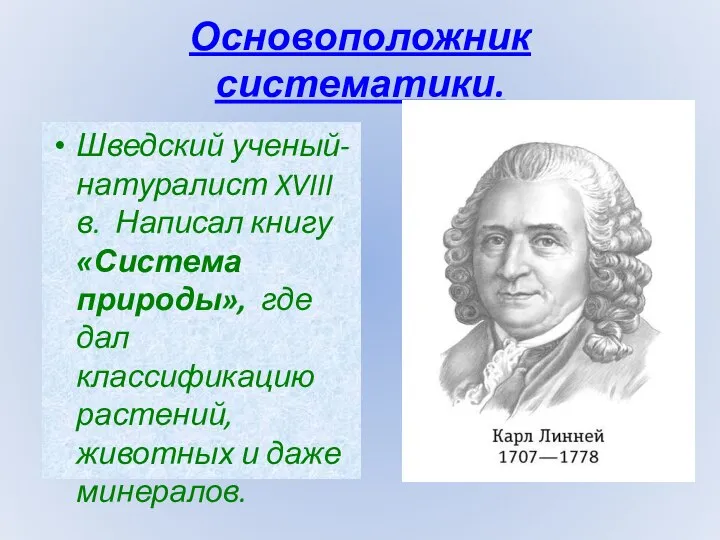 Основоположник систематики. Шведский ученый-натуралист XVIII в. Написал книгу «Система природы», где