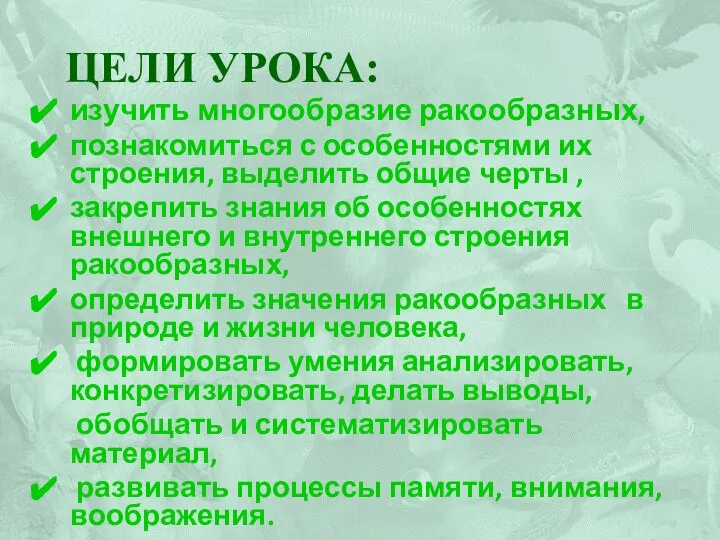 Цели урока: изучить многообразие ракообразных, познакомиться с особенностями их строения, выделить