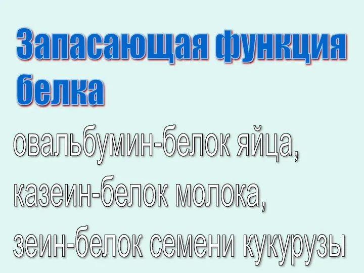 овальбумин-белок яйца, казеин-белок молока, зеин-белок семени кукурузы Запасающая функция белка