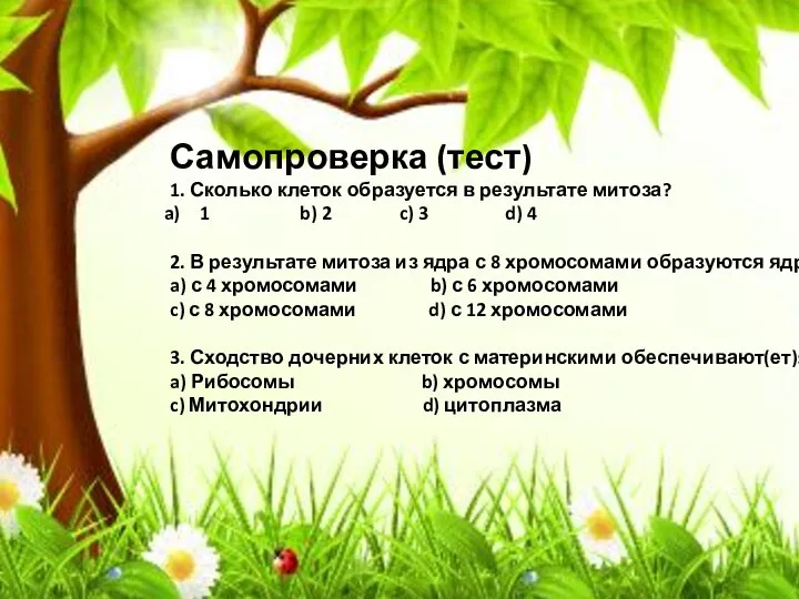 Самопроверка (тест) 1. Сколько клеток образуется в результате митоза? 1 b)