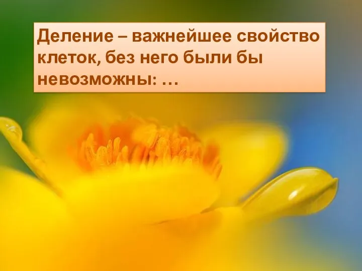 Деление – важнейшее свойство клеток, без него были бы невозможны: …