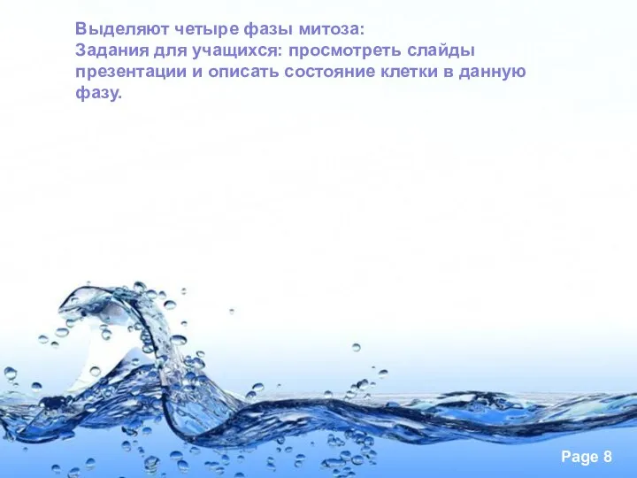 Выделяют четыре фазы митоза: Задания для учащихся: просмотреть слайды презентации и