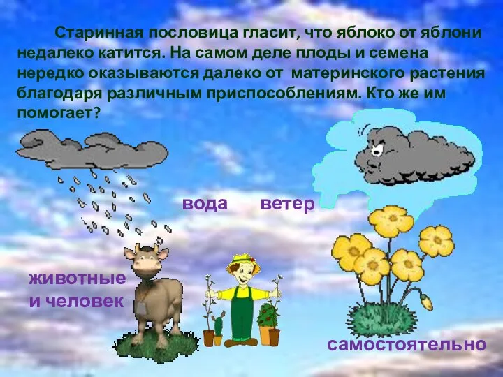 Старинная пословица гласит, что яблоко от яблони недалеко катится. На самом