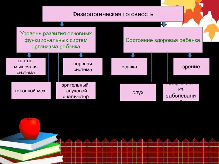 Физиологическая готовность Уровень развития основных функциональных систем организма ребенка Состояние здоровья