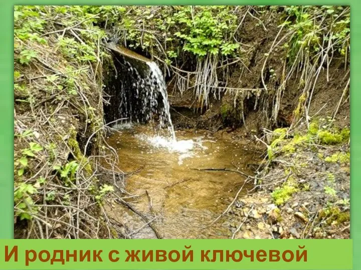 И родник с живой ключевой водой.