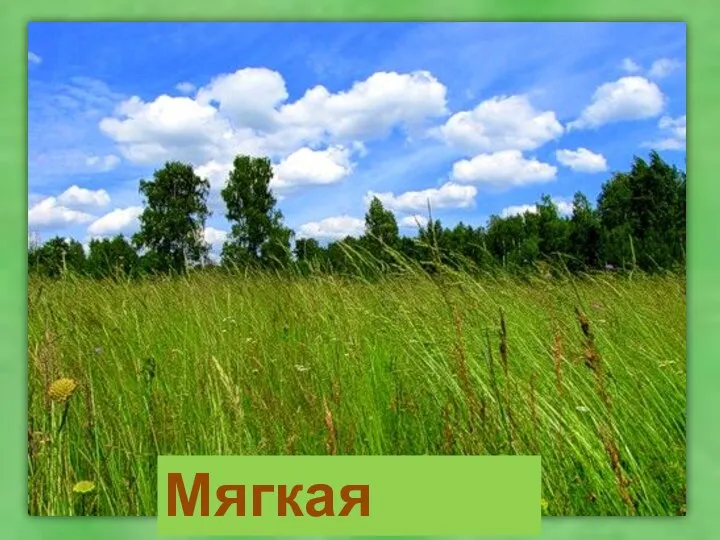 Мягкая трава,