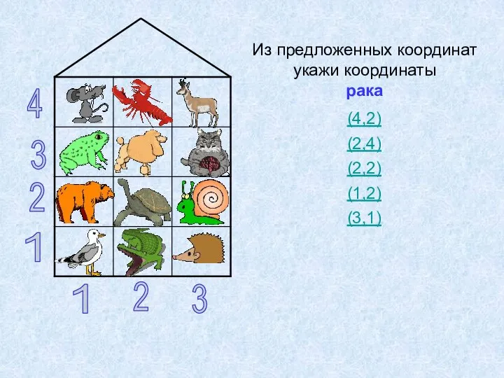 1 2 3 1 2 3 4 Из предложенных координат укажи