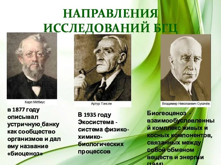 Направления исследований БГЦ в 1877 году описывал устричную банку как сообщество