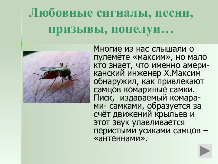 Любовные сигналы, песни, призывы, поцелуи… Многие из нас слышали о пулемёте