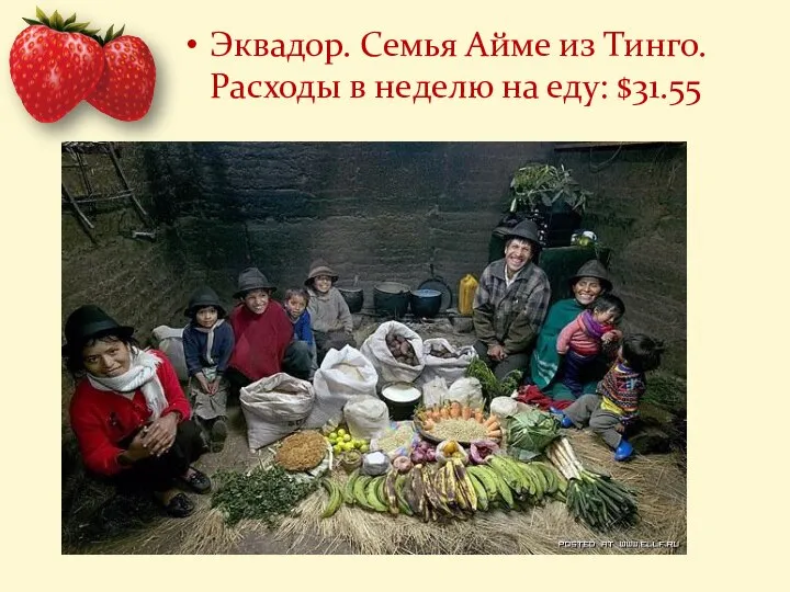 Эквадор. Семья Айме из Тинго. Расходы в неделю на еду: $31.55