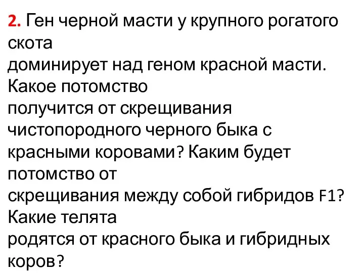 2. Ген черной масти у крупного рогатого скота доминирует над геном