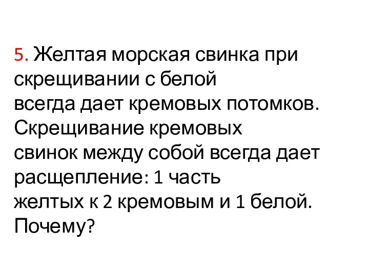 5. Желтая морская свинка при скрещивании с белой всегда дает кремовых