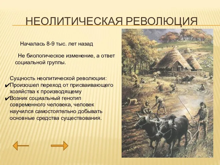 НЕОЛИТИЧЕСКАЯ РЕВОЛЮЦИЯ Началась 8-9 тыс. лет назад Не биологическое изменение, а