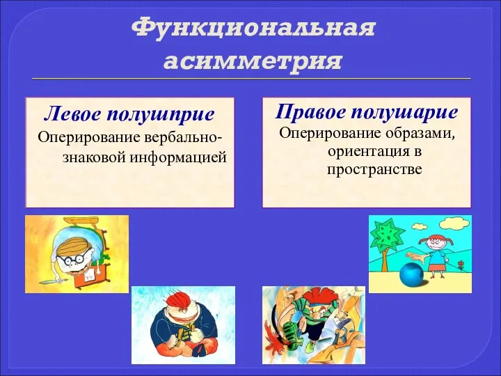 Функциональная асимметрия Левое полушприе Оперирование вербально-знаковой информацией Правое полушарие Оперирование образами, ориентация в пространстве