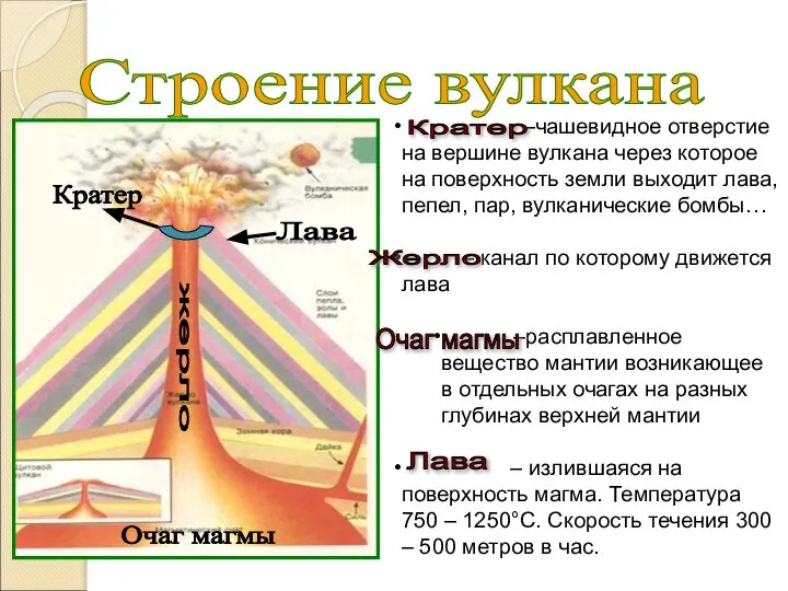 Строение вулкана –чашевидное отверстие на вершине вулкана через которое на поверхность