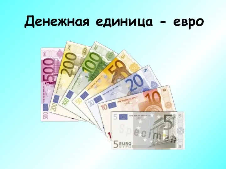 Денежная единица - евро