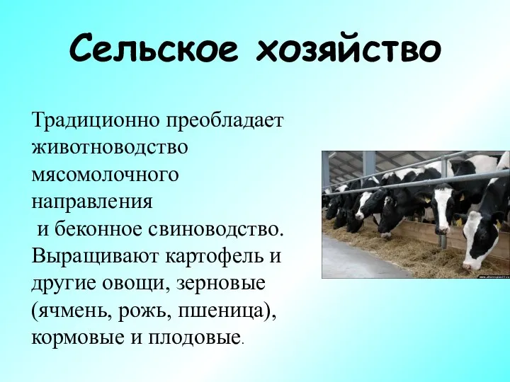 Сельское хозяйство Традиционно преобладает животноводство мясомолочного направления и беконное свиноводство. Выращивают