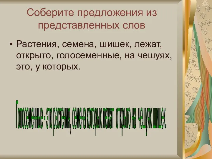 Соберите предложения из представленных слов Растения, семена, шишек, лежат, открыто, голосеменные,