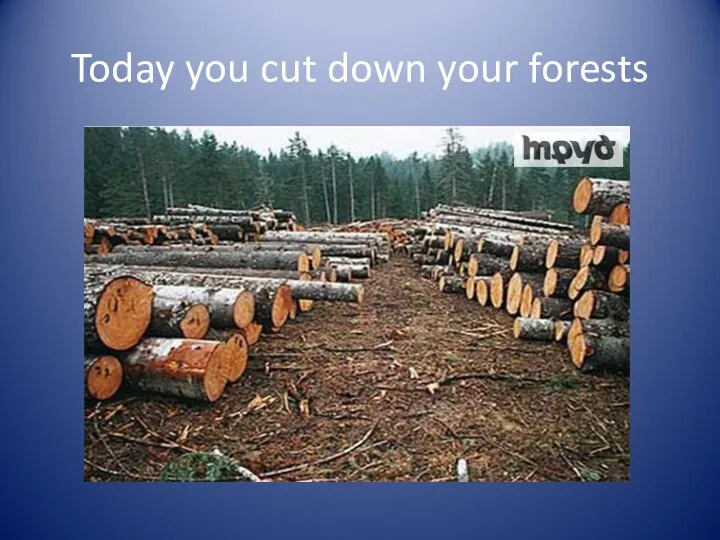 Today you cut down your forests