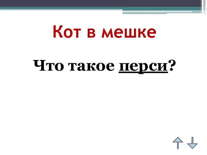 Кот в мешке Что такое перси?