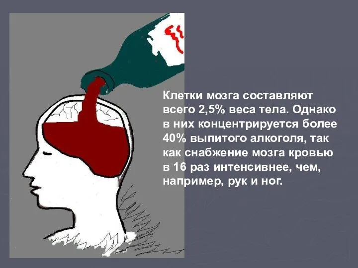 Клетки мозга составляют всего 2,5% веса тела. Однако в них концентрируется