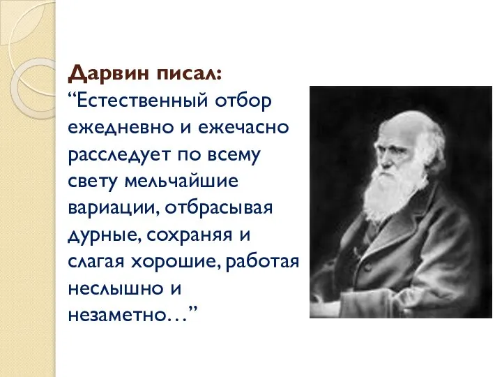 Дарвин писал: “Естественный отбор ежедневно и ежечасно расследует по всему свету