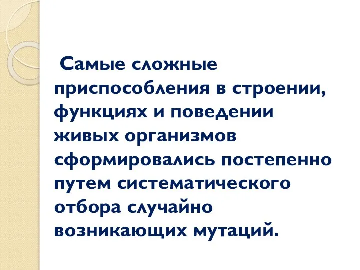 Самые сложные приспособления в строении, функциях и поведении живых организмов сформировались