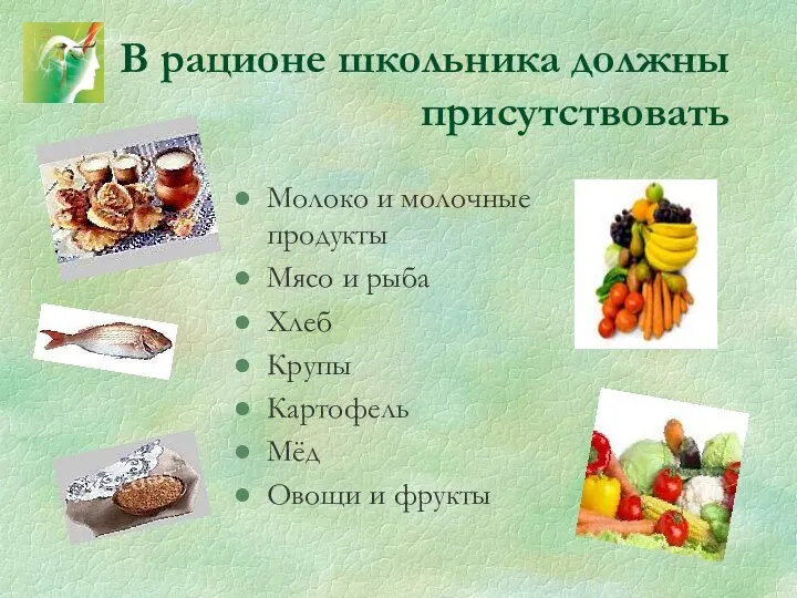 В рационе школьника должны присутствовать Молоко и молочные продукты Мясо и