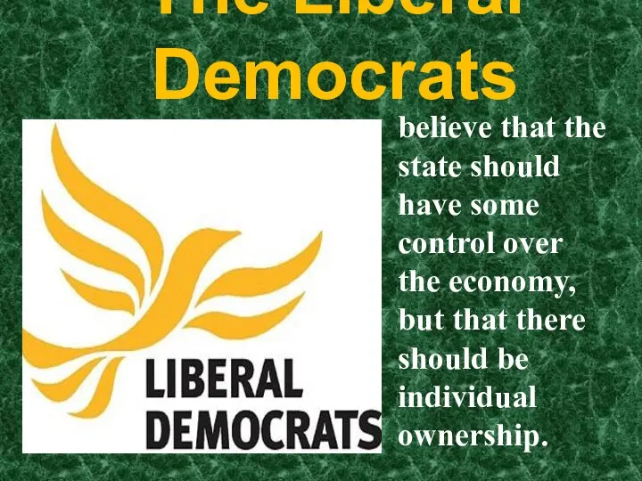 The Liberal Democrats believe that the state should have some control