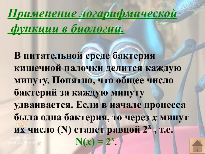 Применение логарифмической функции в биологии. В питательной среде бактерия кишечной палочки