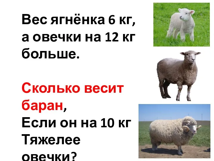 Вес ягнёнка 6 кг, а овечки на 12 кг больше. Сколько