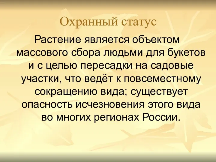 Охранный статус Растение является объектом массового сбора людьми для букетов и