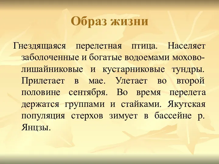 Образ жизни Гнездящаяся перелетная птица. Населяет заболоченные и богатые водоемами мохово-лишайниковые