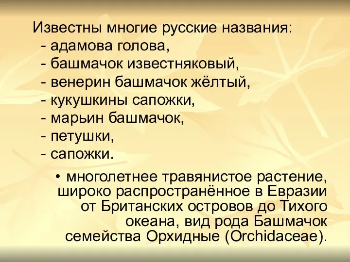 Известны многие русские названия: - адамова голова, - башмачок известняковый, -