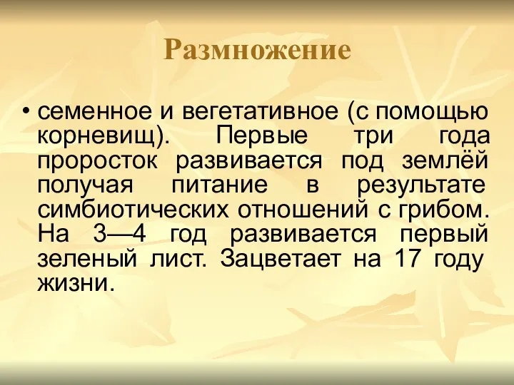 Размножение семенное и вегетативное (с помощью корневищ). Первые три года проросток