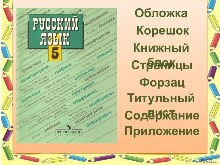 Обложка Корешок Книжный блок Страницы Форзац Титульный лист Содержание Приложение