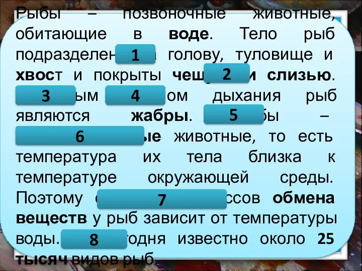 Рыбы – позвоночные животные, обитающие в воде. Тело рыб подразделено на