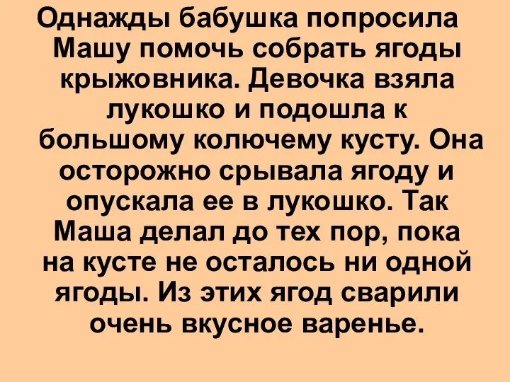 Однажды бабушка попросила Машу помочь собрать ягоды крыжовника. Девочка взяла лукошко