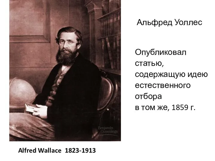 Alfred Wallace 1823-1913 Опубликовал статью, содержащую идею естественного отбора в том же, 1859 г. Альфред Уоллес