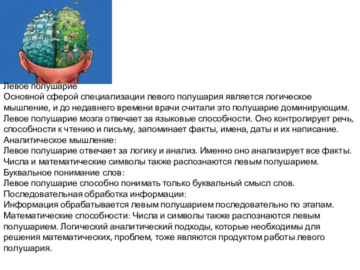 Левое полушарие Основной сферой специализации левого полушария является логическое мышление, и