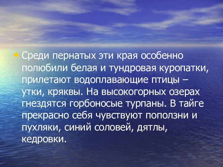 Среди пернатых эти края особенно полюбили белая и тундровая куропатки, прилетают