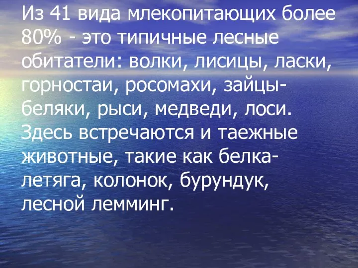 Из 41 вида млекопитающих более 80% - это типичные лесные обитатели: