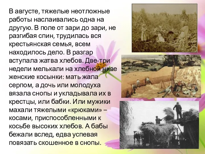 В августе, тяжелые неотложные работы наслаивались одна на другую. В поле