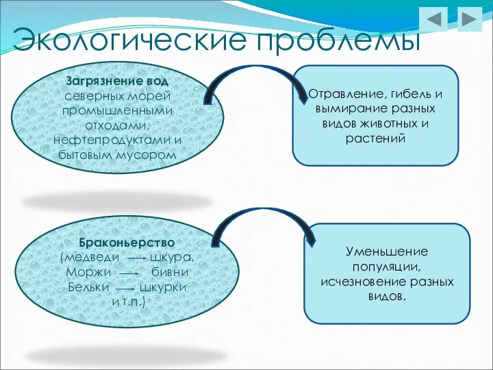 Отравление, гибель и вымирание разных видов животных и растений Экологические проблемы